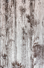 White wood texture