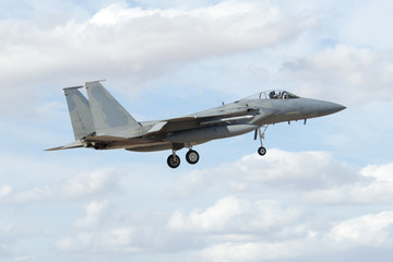 Fototapeta na wymiar F-15 Eagle