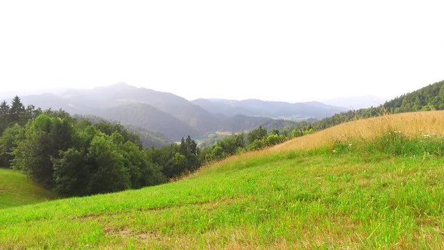 Beautiful pastures at the end of spring, in a beggining of summer time. In the mountains.