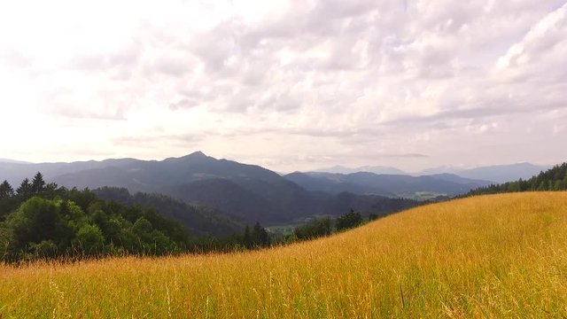 Beautiful pastures at the end of spring, in a beggining of summer time. In the mountains.