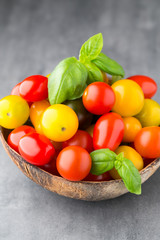 Tomatoes on the gray background. Colorful tomatoes, red tomatoes