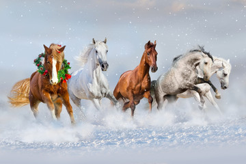 Fototapeta na wymiar Horse herd run in snow. Christmas image