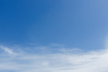 Fototapeta premium clear blue sky