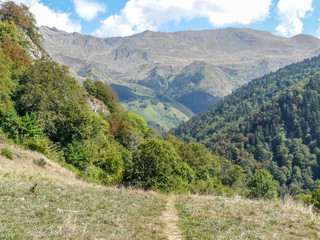 Vallée d'Asp, Pyrénées