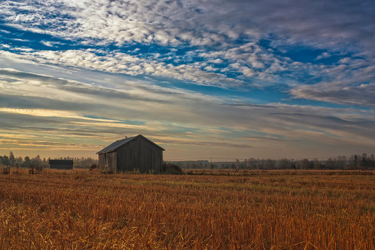 Morning On The Autumn Fields