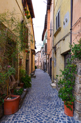Fototapeta na wymiar Trevignano Romano (Italy) - A nice medieval town on Bracciano lake, province of Rome