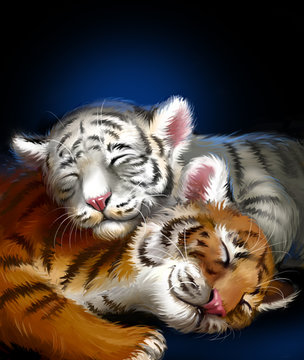 tiger cub