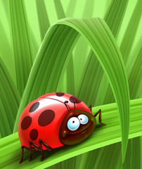 ladybug
