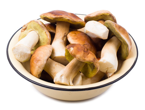 The cepes isolated