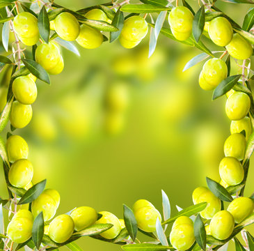 Olive frame