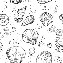 Pattern of seashells on the beach, a color line on a white background. Hand drawn seamless pattern