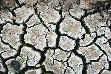 Land with dry and cracked ground. Desert