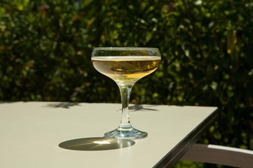 Glass of champagne