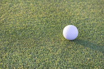 Above view of a golf ball on the ground.