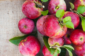 Heap of red ripe apples on the burlap