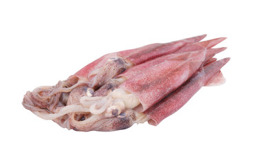 Pink squids isolated on white background