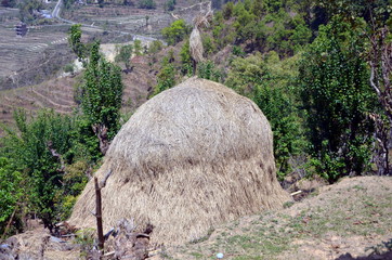 Haystack in the mountains. Gorkha town, Nepal 