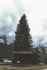 Wood cabin and trees in mountain, foggy day 