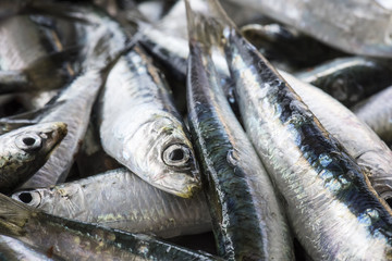 pesce Azzurro - Sarde 