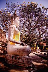 An ancient statue of Buddha in Wat Yai Chai Mongkol. Ayuttaya, T