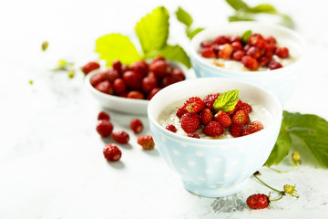 Rice pudding or Milchreis with wild strawberry