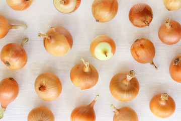  onion harvest for cooking/ flat layout of a plurality of bulbs on light wood surface top view 