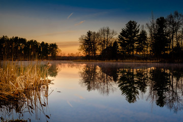 Placid Pond at Dawn