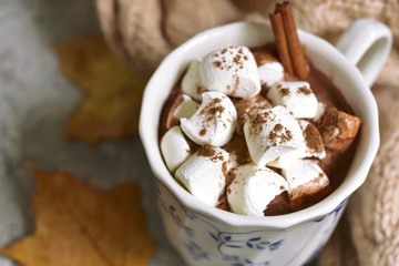 Cup of hot chocolate with mini marshmellows cinnamon.