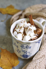 Cup of hot chocolate with mini marshmellows cinnamon.