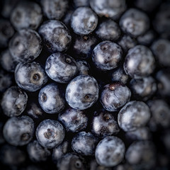 Freshly picked blueberries. depth of field, soft focus