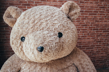 Big Teddy bear a stuffed toy bear