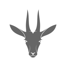 Isolated antelope on white background