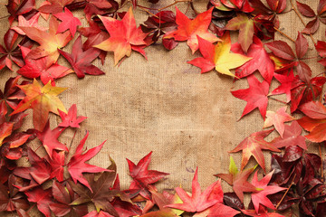 border frame of colorful maple leaves on jute background