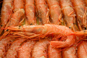 Tray of shrimp doused in sauce