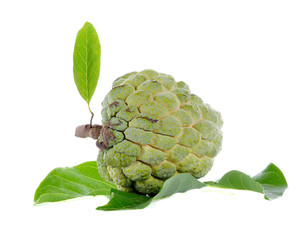 Obraz premium Sugar Apple on white background