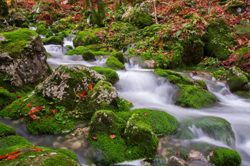 Fototapeta na wymiar Mountain creek in the autumn forest in Triglav national park