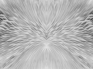 black and white abstract background macro image of mushroom, Sajor-caju Mushroom