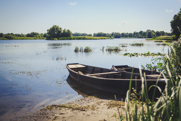 Obraz premium Rowing boats in the reeds on the lake shore
