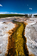 Hotsprings of Yellowstone NP, USA