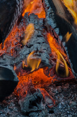 hot orange-yellow flame fire in the open air burning of coals of wood with a high temperature and bright colors