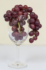 red grape in wine glass