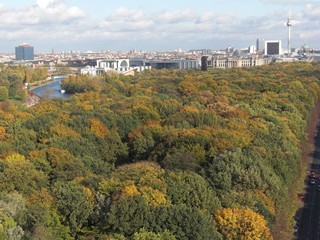 Herbst in Berlin / Blick über den herbstlichen Berliner Tiergarten