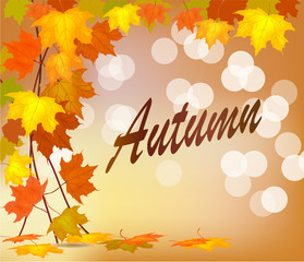 autumn foliage vector sale banner