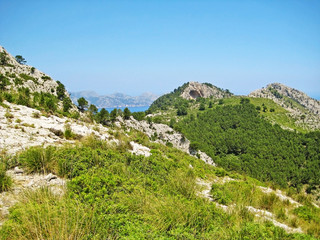 Fototapeta na wymiar green mountain landscape
