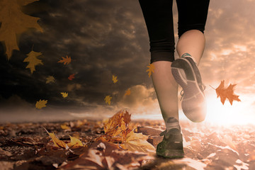 Lauf in den Herbst
