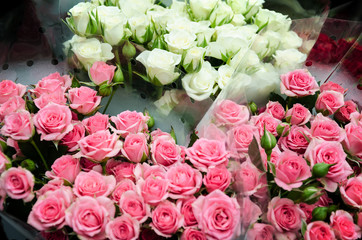 beautiful bouquet of pink roses