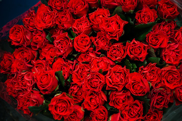beautiful bouquet of red roses