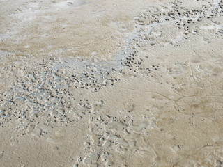 Flowing wet mud texture