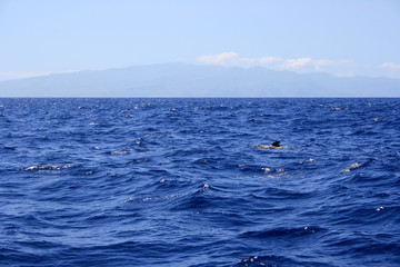 Meer bei Teneriffa