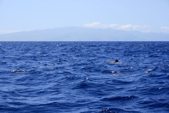 Meer bei Teneriffa